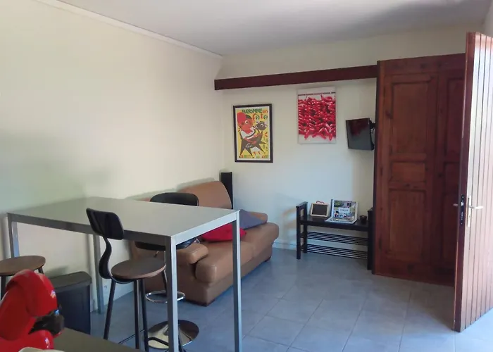 La Presque Basque Appartement *